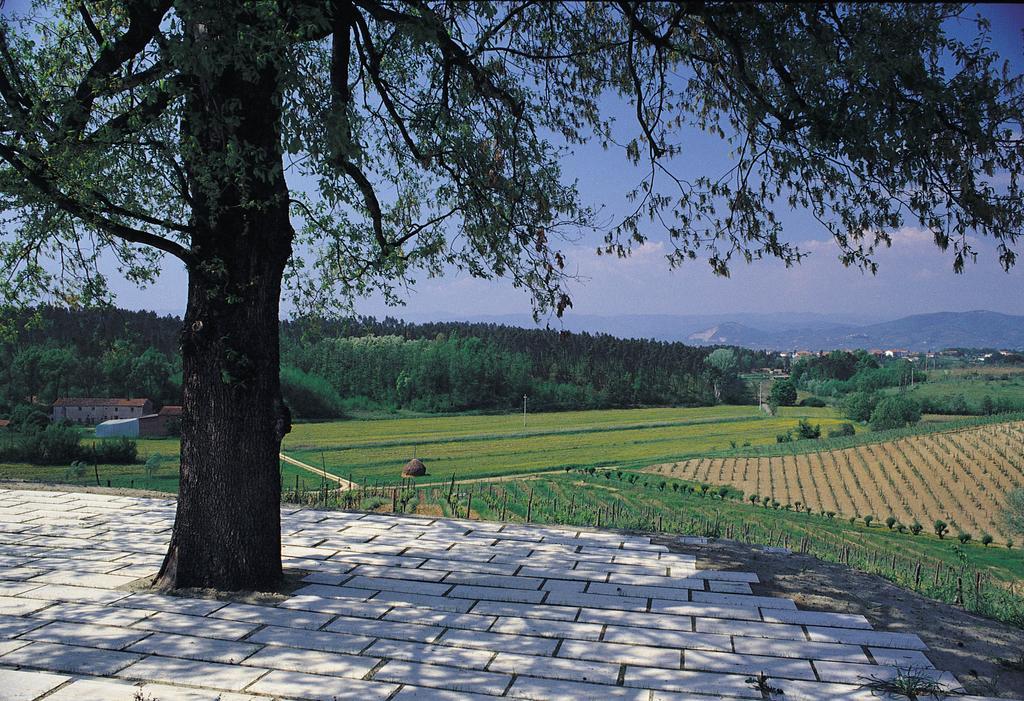 Agriturismo Le Due Querce Lazzeretto Eksteriør bilde